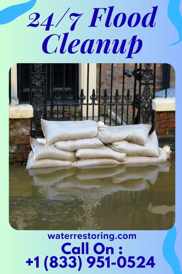 24/7 Flood Cleanup in Alpha, MN