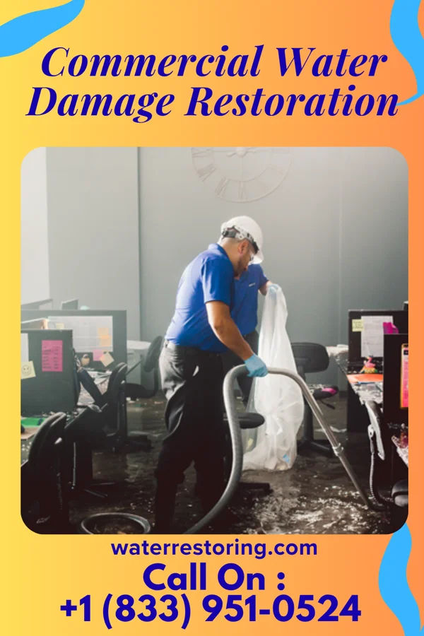 Commercial Water Damage Restoration in Alpha, MN