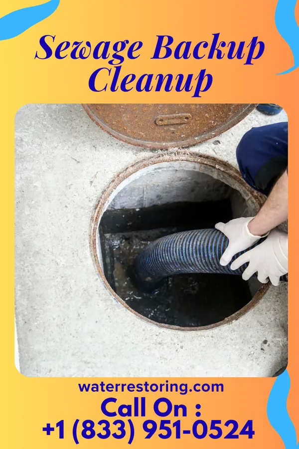 Sewage Backup Cleanup in Alpha, MN